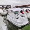 7 Seater Swan Boat PE Plastic Pedal Type for Lake Resort and Commercial Water Entertainment