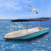 Great Item 5.1m/16.7ft Fiberglass Electric Fishing Vessel Speed Sport Boat For Sea 