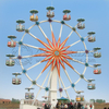 Hot sale popular facilities flower basket design sightseeing windmill ferris wheel for sale 