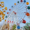 Wholesales Basic Outdoor Fairground Items Amusement Park Rides 30m High Ferris Wheel 