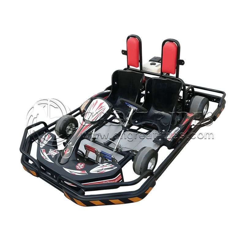 Direct Factory Price Adult Two Seat Gasoline Go kart Petrol Go Karts Direct Factory Price Adult Two Seat Gasoline Go kart Petrol Go Karts