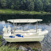 5-Seater Rabbit Electric Paddle Boat PE Plastic Watercraft for Amusement Parks and Scenic Lakes for Sale