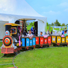 Amusement rides supplier electric track train amusement park train rides for sale