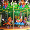 Commercial theme park kiddie amusement rides Madagascar carousel merry go round for sale