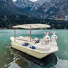 5-Seater Rabbit Electric Paddle Boat PE Plastic Watercraft for Amusement Parks and Scenic Lakes for Sale