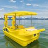 Stable Seahorse Style Electric Boat for 5 People Optional Canopy for Drifting Park Rentals