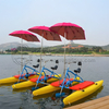 1~2 Seats Summer Pedal Bike Boat Playing Boat Human Power Water Bicycle for Sale