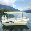 5-Seater Rabbit Electric Paddle Boat PE Plastic Watercraft for Amusement Parks and Scenic Lakes for Sale