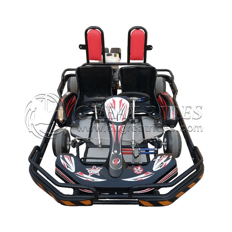 Direct Factory Price Adult Two Seat Gasoline Go kart Petrol Go Karts Direct Factory Price Adult Two Seat Gasoline Go kart Petrol Go Karts