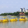 Cute Duck Shape 5-Person Electric Paddle Boat PE Plastic Water Ride for Kids & Families for Sale