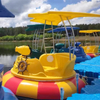 Cartoon Pirate Bumper Boat with 24V Battery and Joystick Control for Amusement Lakes and Rental Zones