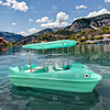 Dolphin Theme 5-Seat Electric Paddle Boat Stable PE Plastic Material for Kids Water Playground Attractions for Outdoor Drifting