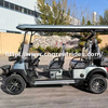 Cheap Luxury 6 Seater Low Speed Vehicle 4 Wheel Drive Push Electric Golf Cart For Sale