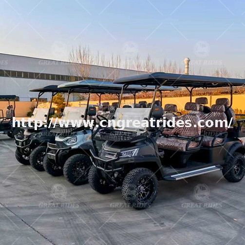 Cheap Luxury 6 Seater Low Speed Vehicle 4 Wheel Drive Push Electric Golf Cart For Sale